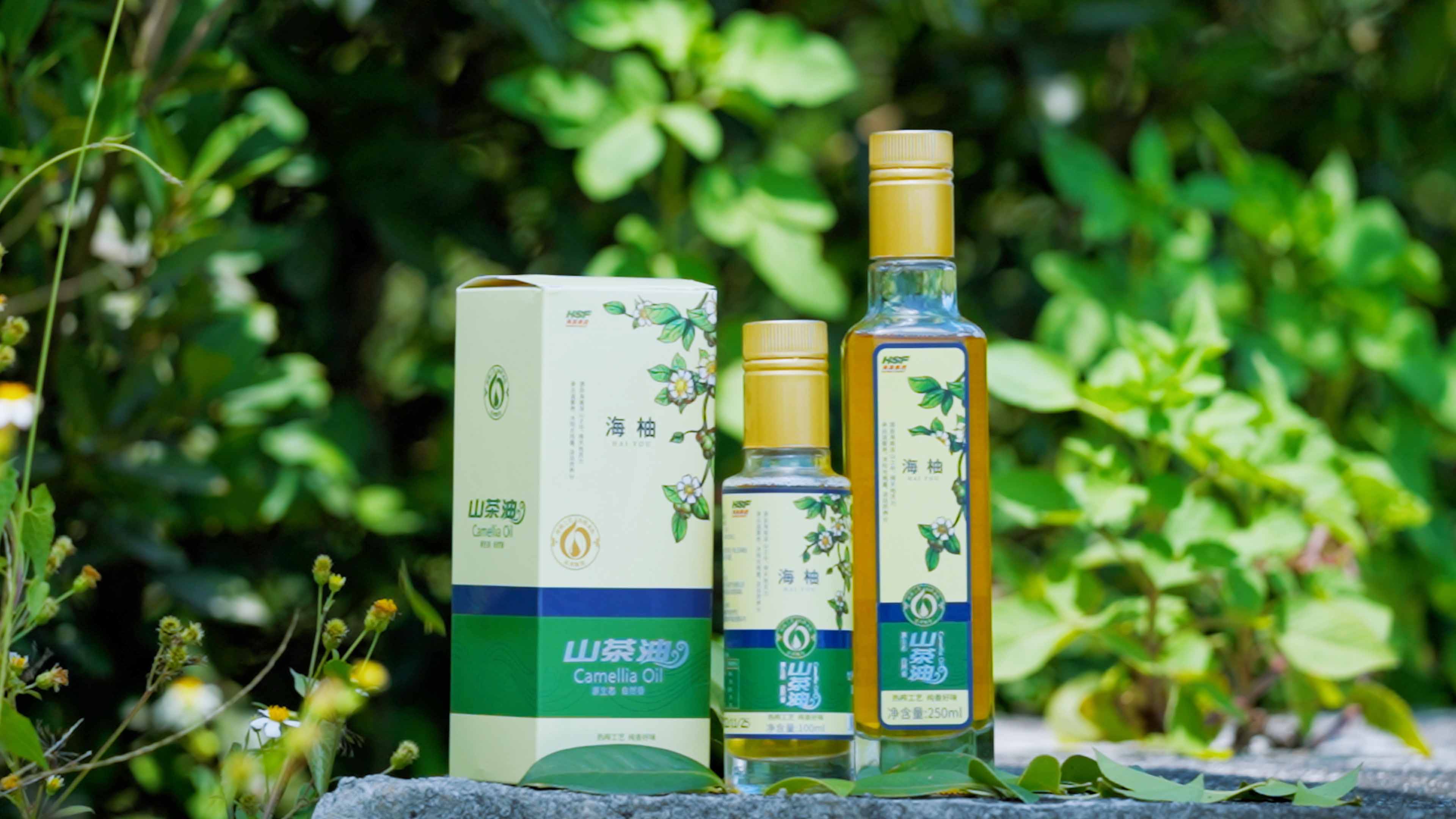 大宝娱乐乐香山茶油