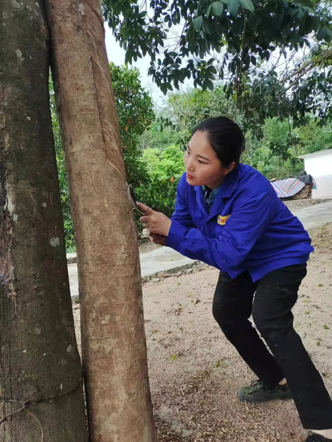 49aa51825d0b47ba984eb26d79479e41