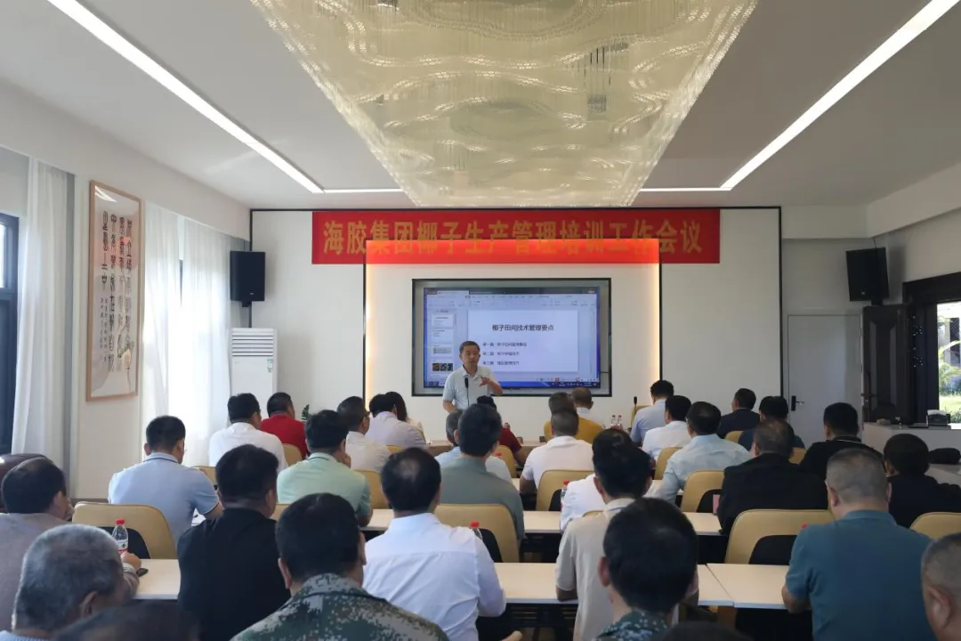 642d6ff208c84ea5bc6abedd76822dc6