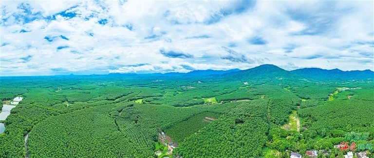 ed369732858a4819b83b7f774211a940