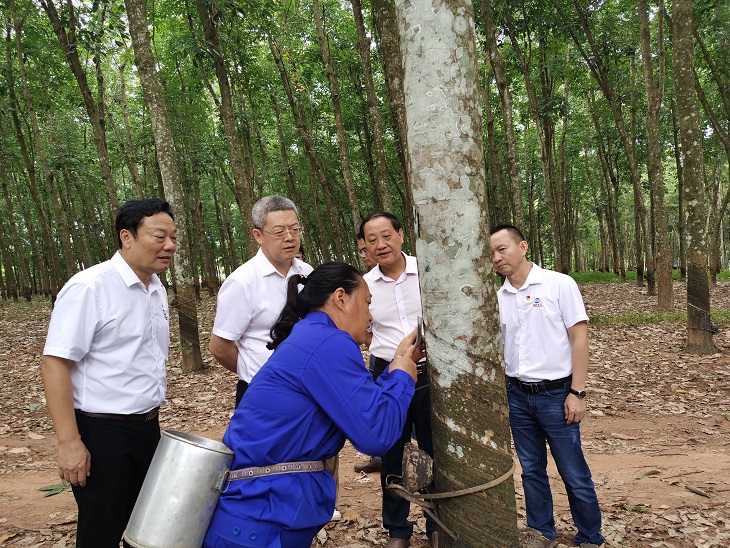 大宝娱乐-LG游戏|PT游戏|CQ9游戏