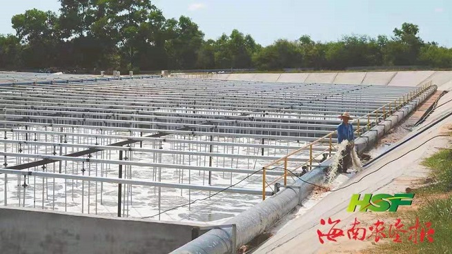 大宝娱乐-LG游戏|PT游戏|CQ9游戏