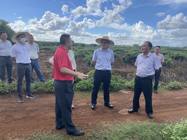 大宝娱乐-LG游戏|PT游戏|CQ9游戏