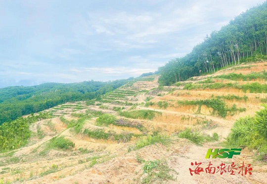 大宝娱乐-LG游戏|PT游戏|CQ9游戏