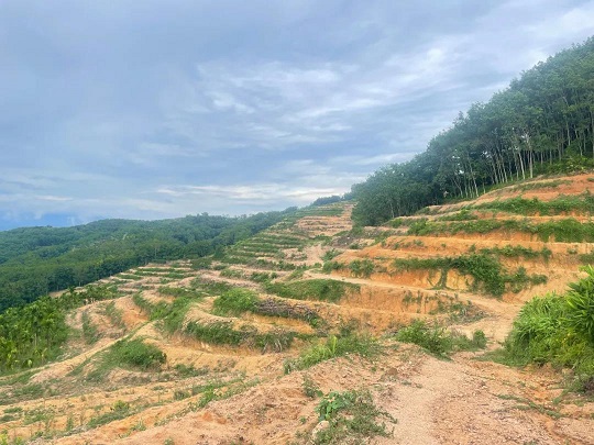 大宝娱乐-LG游戏|PT游戏|CQ9游戏