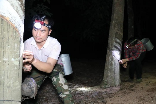 大宝娱乐-LG游戏|PT游戏|CQ9游戏