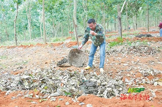 大宝娱乐-LG游戏|PT游戏|CQ9游戏