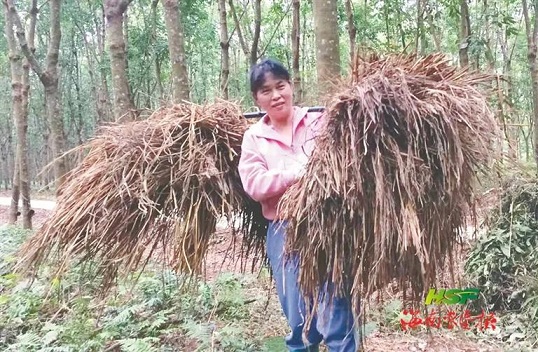 大宝娱乐-LG游戏|PT游戏|CQ9游戏