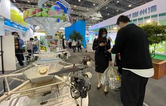 大宝娱乐-LG游戏|PT游戏|CQ9游戏