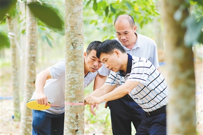 大宝娱乐-LG游戏|PT游戏|CQ9游戏