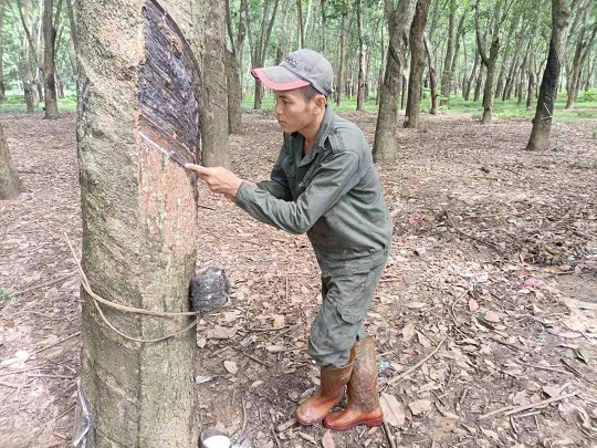 大宝娱乐-LG游戏|PT游戏|CQ9游戏