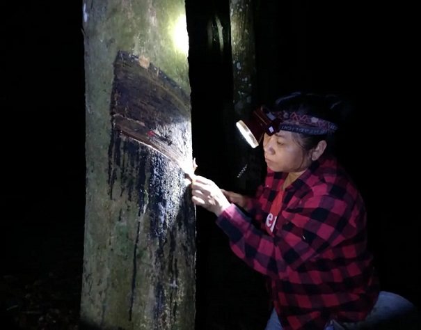 大宝娱乐-LG游戏|PT游戏|CQ9游戏