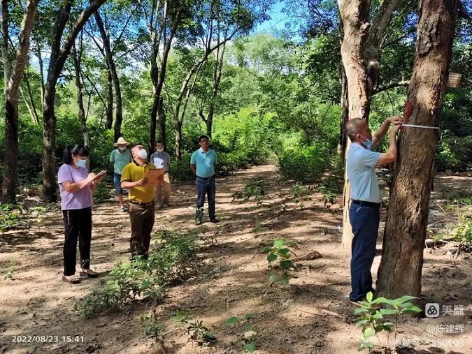 大宝娱乐-LG游戏|PT游戏|CQ9游戏