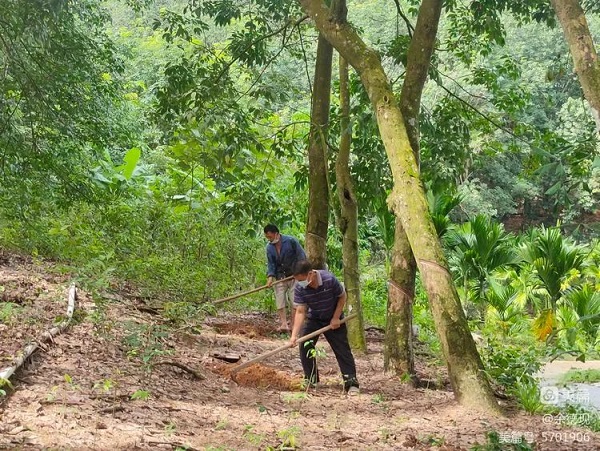 大宝娱乐-LG游戏|PT游戏|CQ9游戏