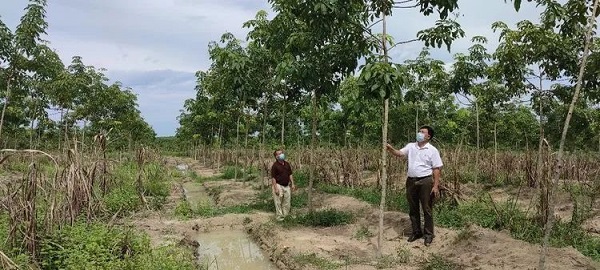 大宝娱乐-LG游戏|PT游戏|CQ9游戏