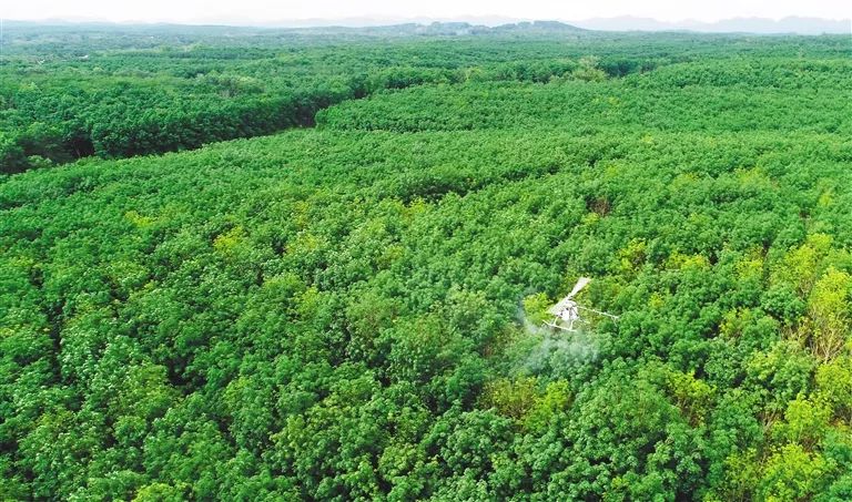 大宝娱乐-LG游戏|PT游戏|CQ9游戏