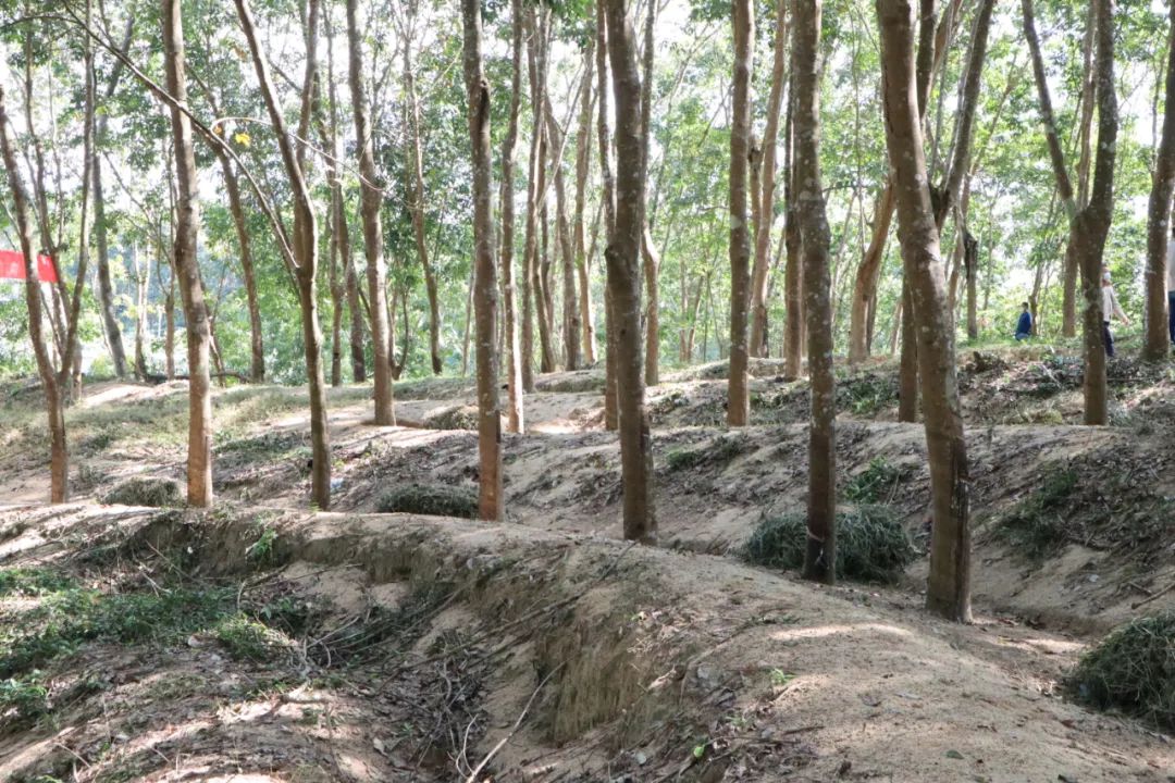 大宝娱乐-LG游戏|PT游戏|CQ9游戏