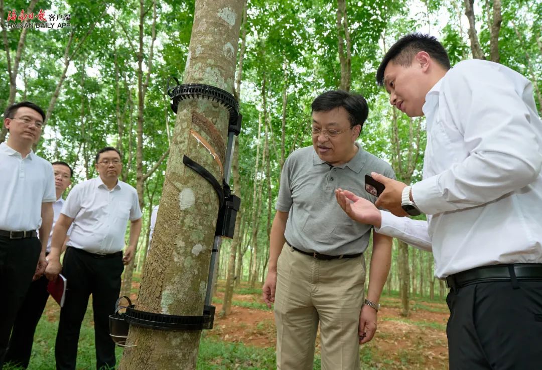 大宝娱乐-LG游戏|PT游戏|CQ9游戏