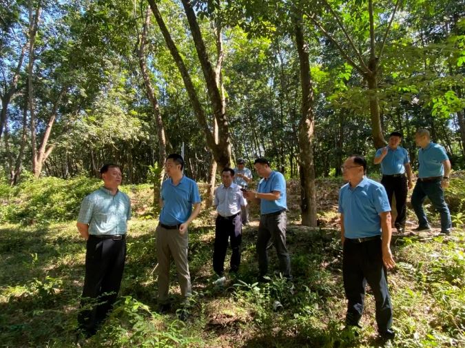 大宝娱乐-LG游戏|PT游戏|CQ9游戏